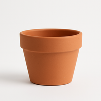 Terracotta Planter