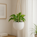 Hanging Planter
